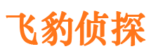 惠山市侦探调查公司